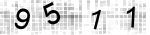 capatch